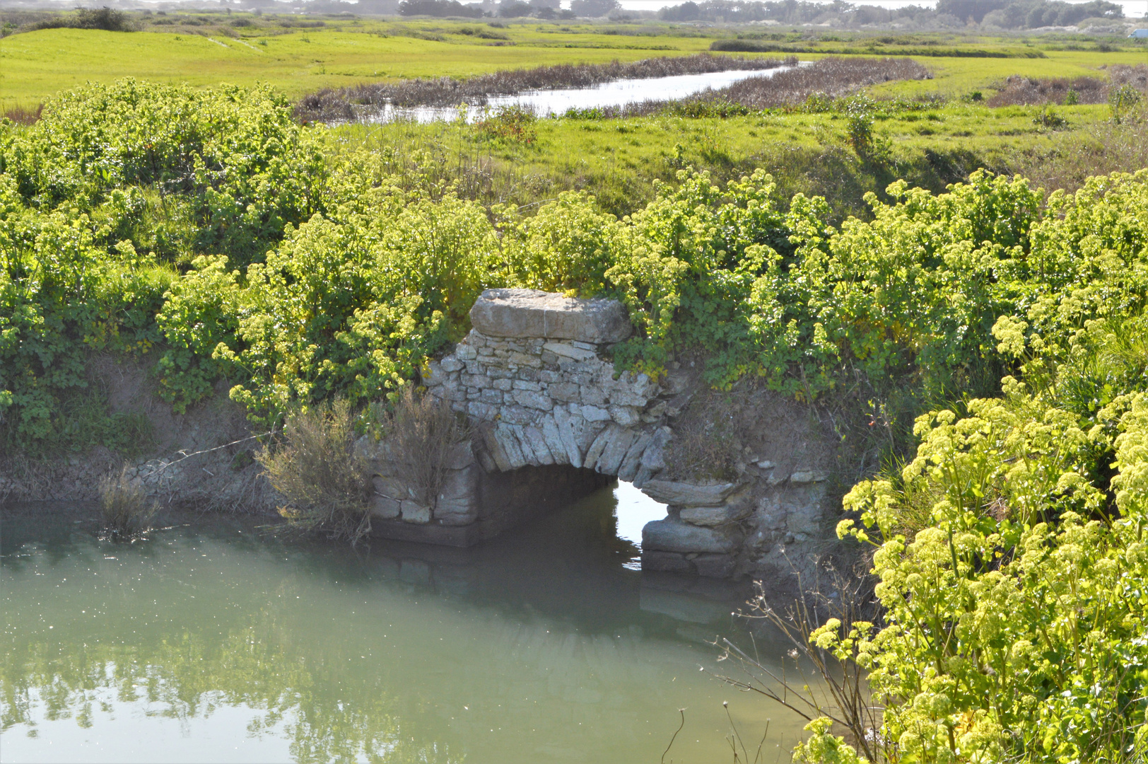 Le petit pont