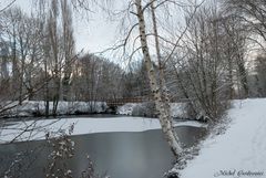 Le petit pont.