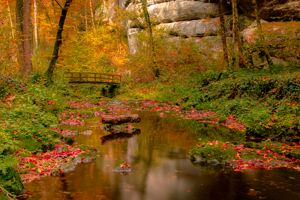 Le petit pont,