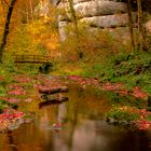 Le petit pont,