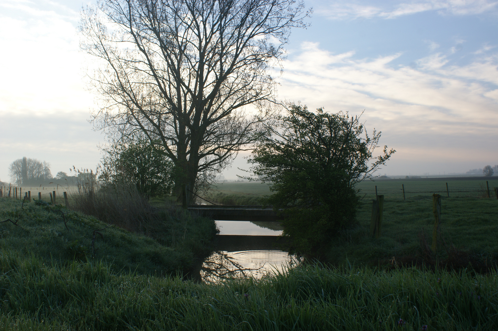 le petit pont