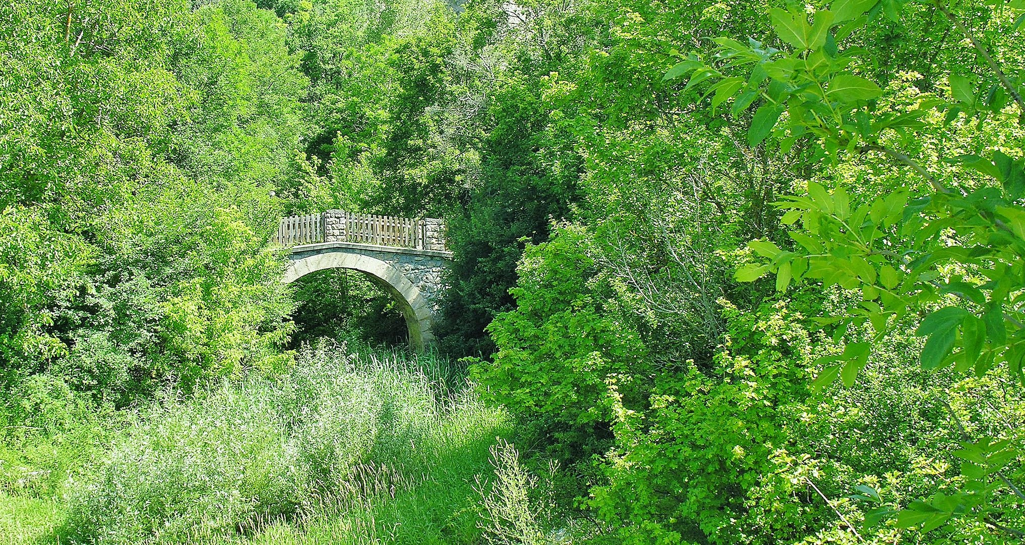 Le petit pont.