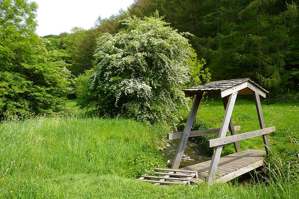 Le petit pont