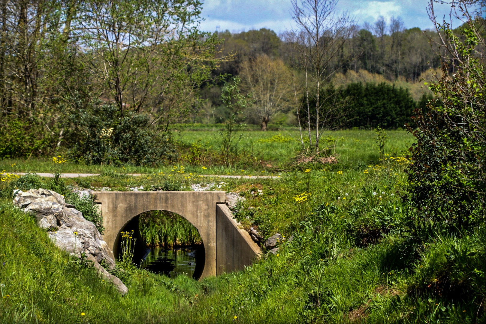 LE PETIT PONT photo et image