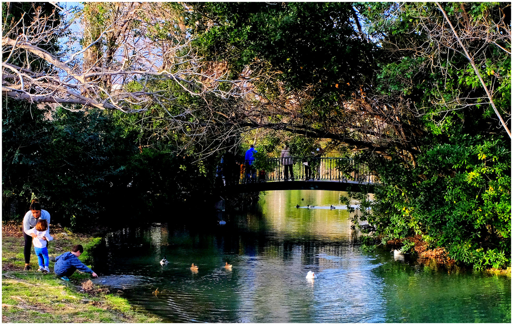 Le petit pont