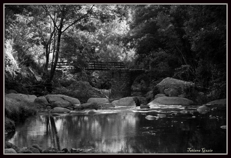 le petit pont d Albon