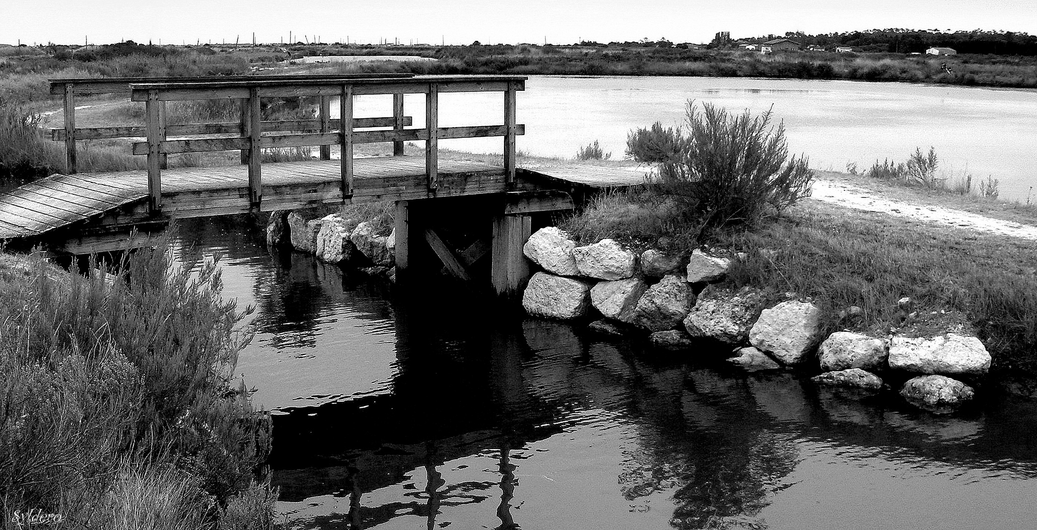 Le petit pont de bois