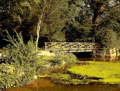 LE PETIT PONT DE BOIS