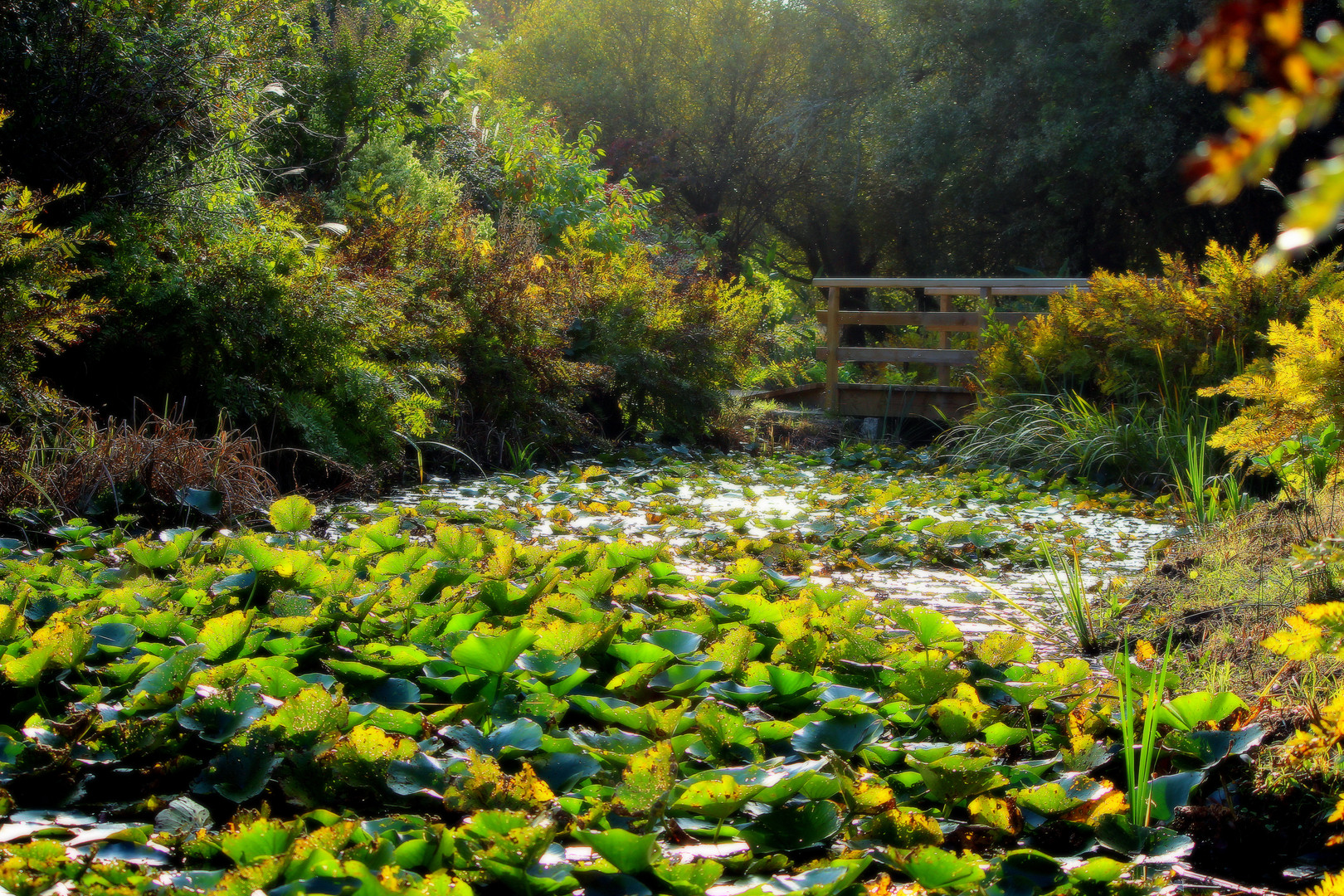 Le petit Pont de Bois...