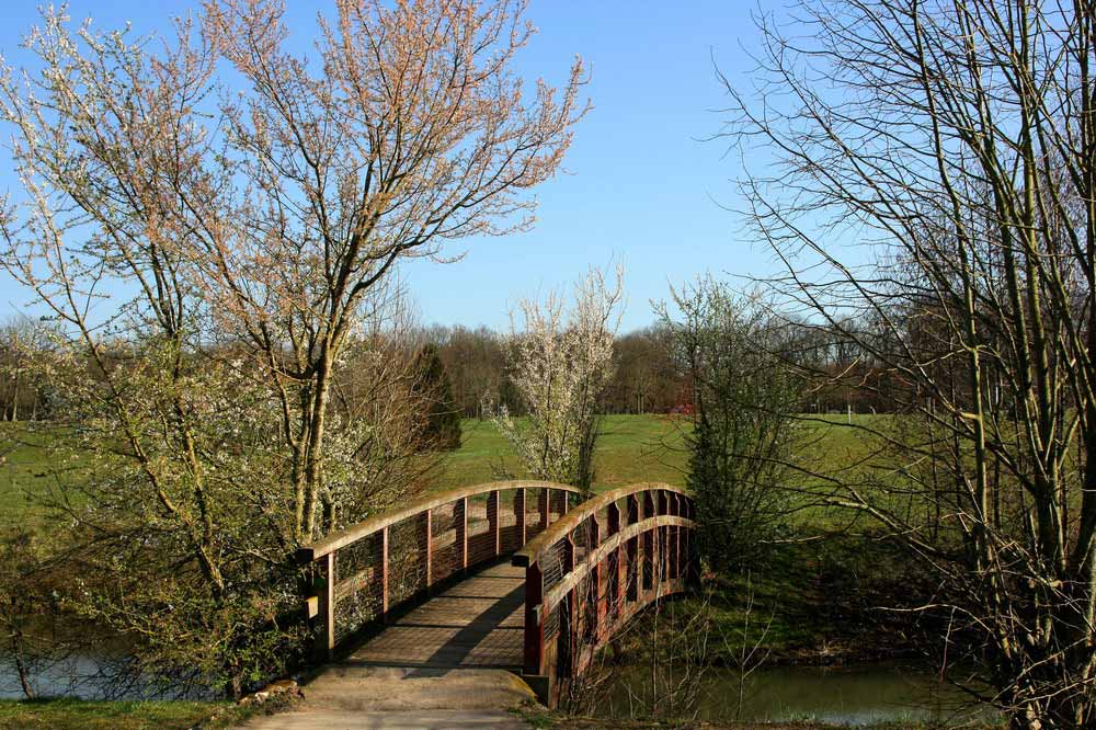 Le petit pont de bois