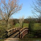 Le petit pont de bois