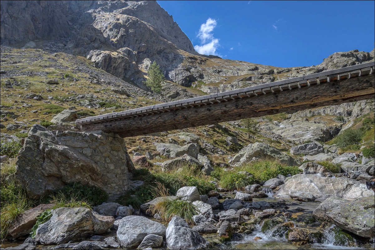 Le petit pont de bois