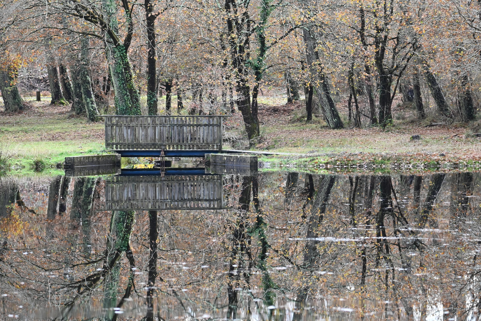 Le petit pont de bois