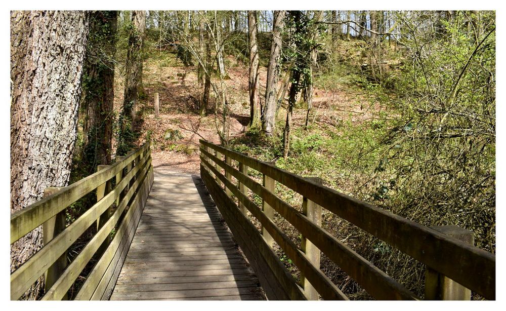 le petit pont de bois