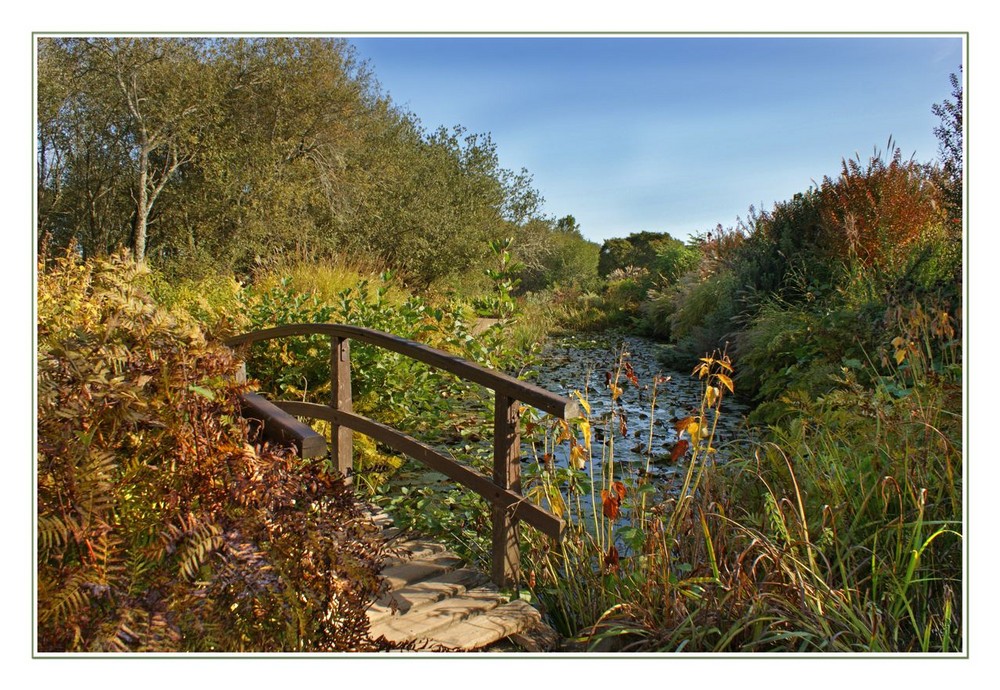 Le petit pont de Bois