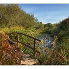 Le petit pont de Bois