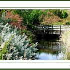 Le petit pont de bois