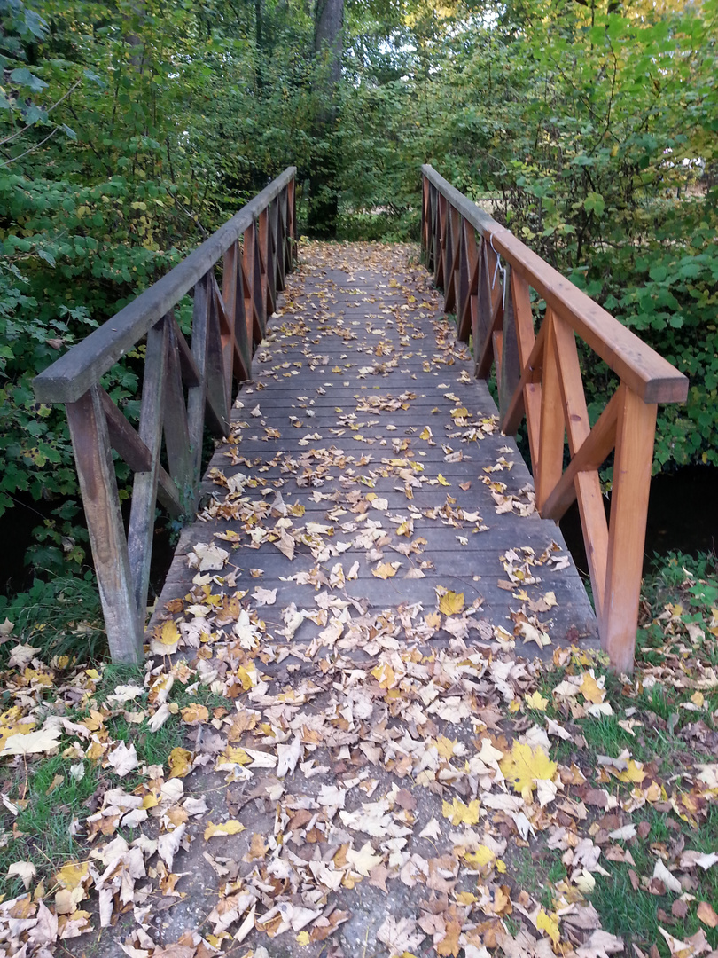 Le petit pont de bois