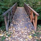 Le petit pont de bois