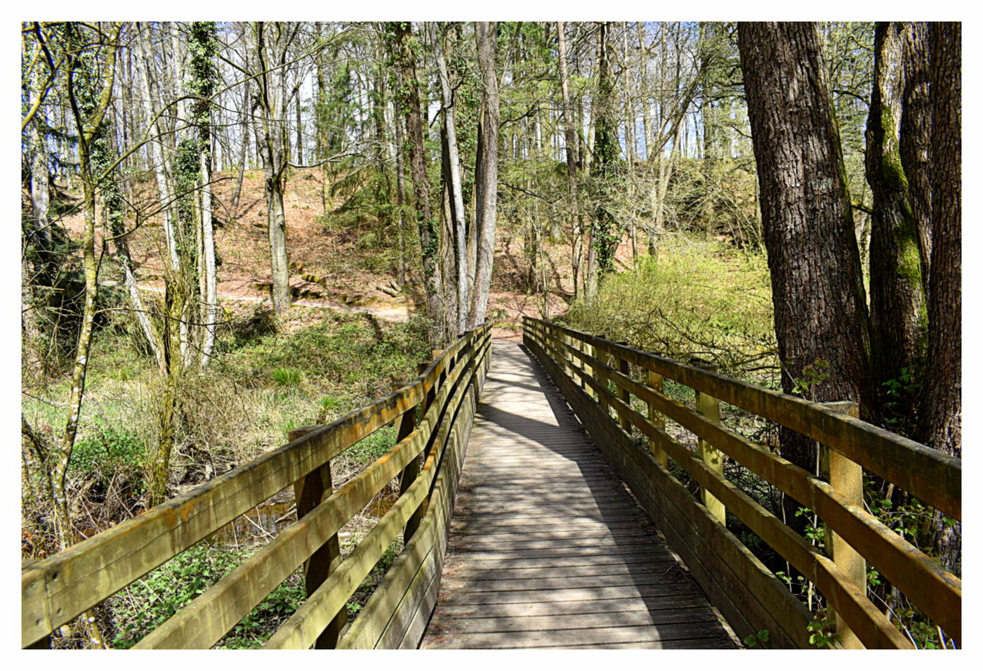 le petit pont de bois