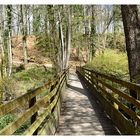 le petit pont de bois