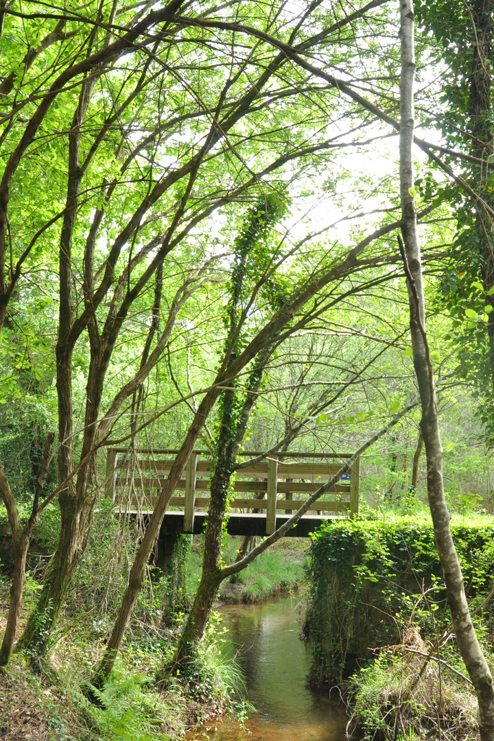 Le petit pont de bois