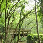 Le petit pont de bois