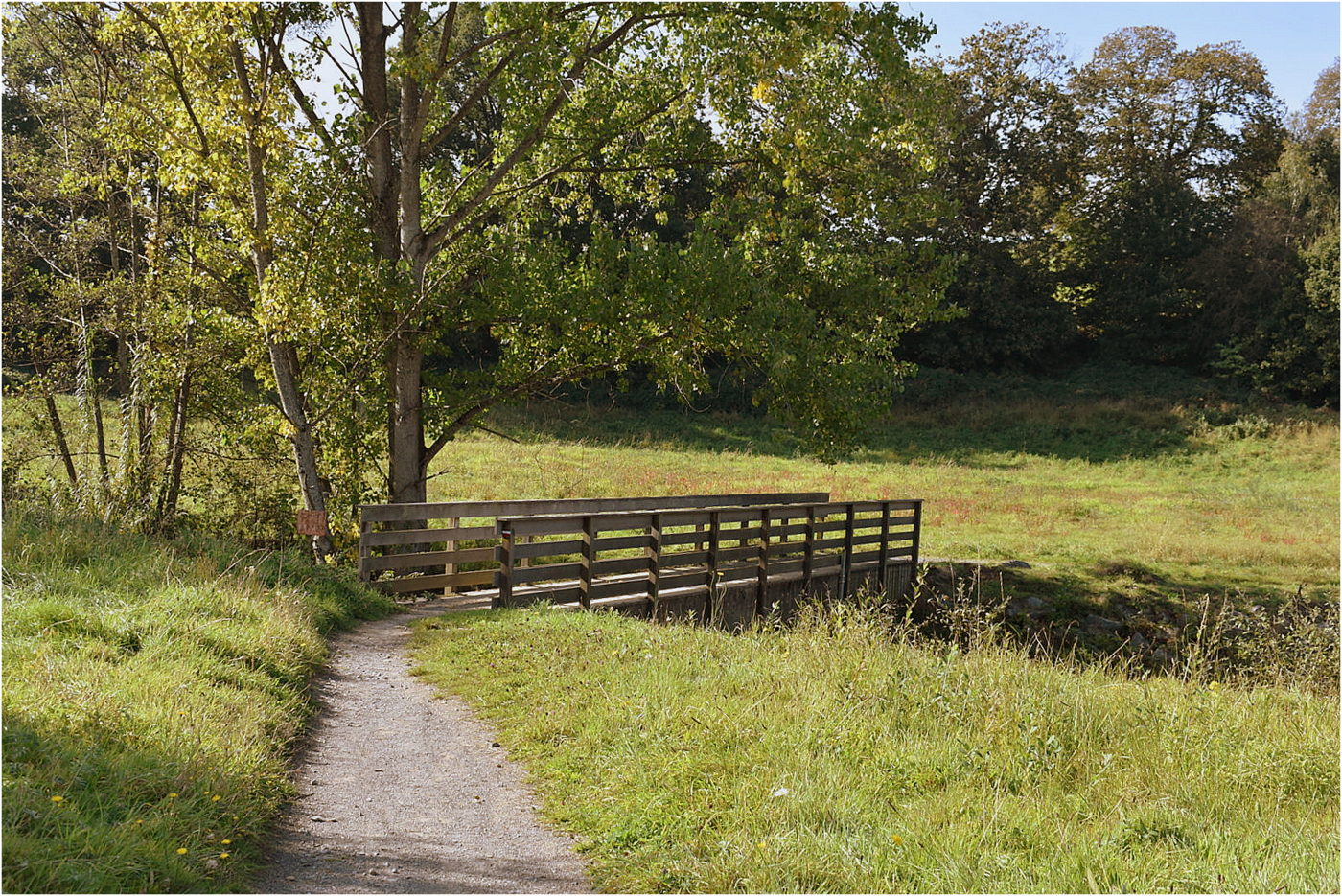 le petit pont de bois