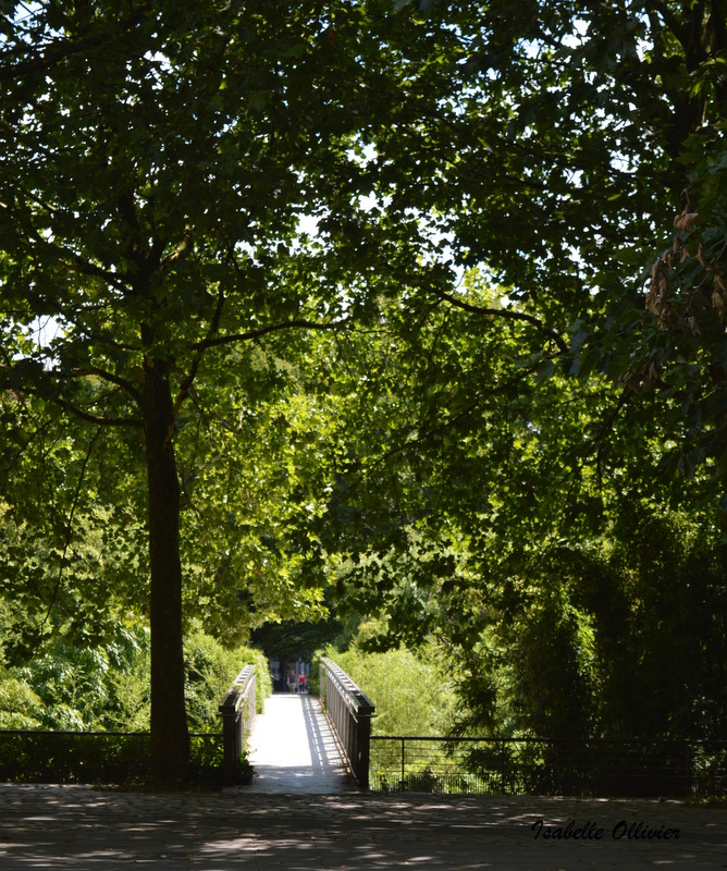 Le petit pont de bois