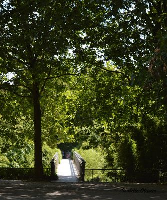 Le petit pont de bois