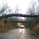 Le petit pont de Bois.....!!!!!!!!!!!