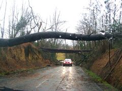 Le petit pont de Bois.....!!!!!!!!!!!