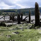 Le petit pont de bois, N° 2 (bord de Seine) VILLEQUIER / Ht NORMANDIE