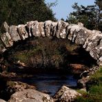 le petit pont de pierre