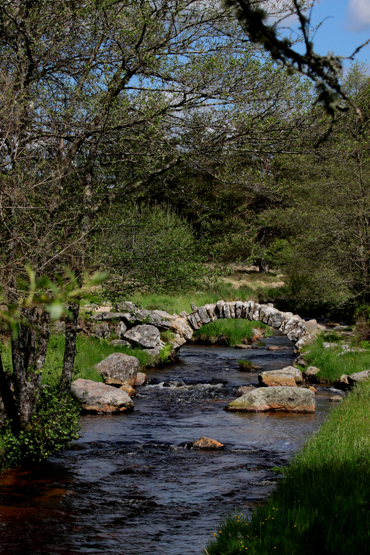 le petit pont de pierres