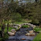 le petit pont de pierres