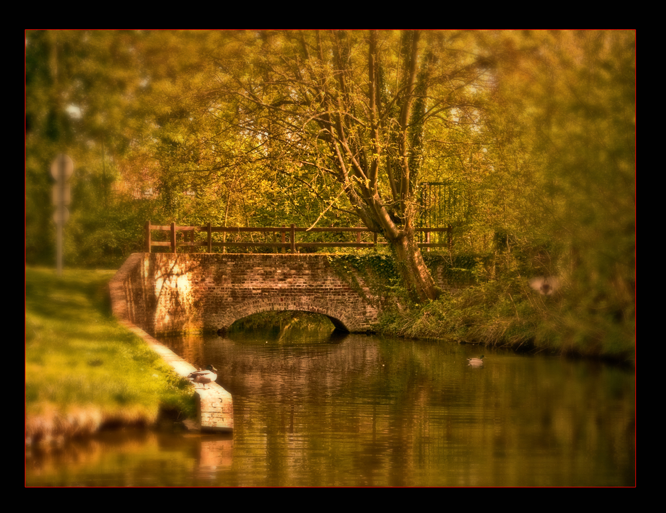 Le petit pont