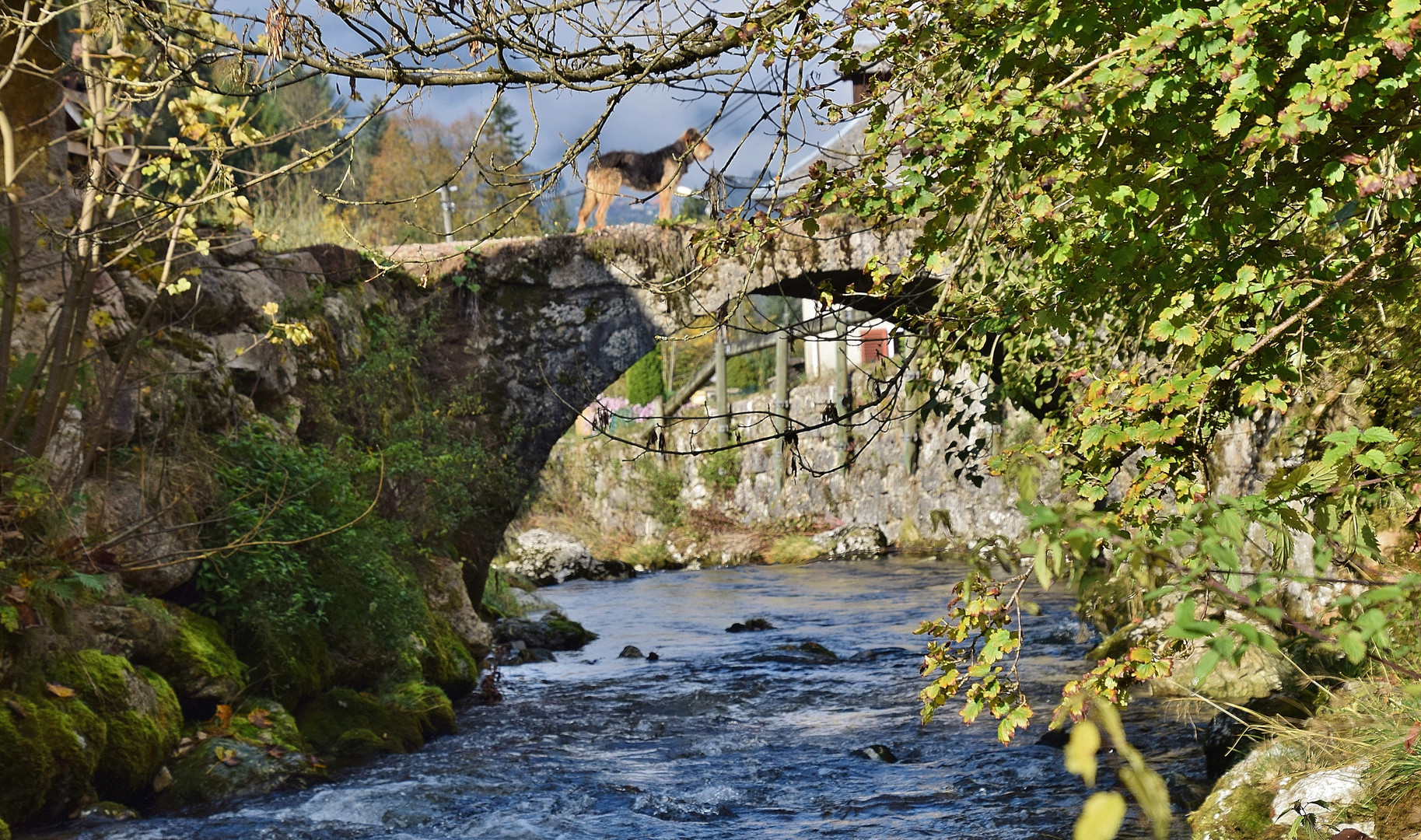 Le petit pont.....