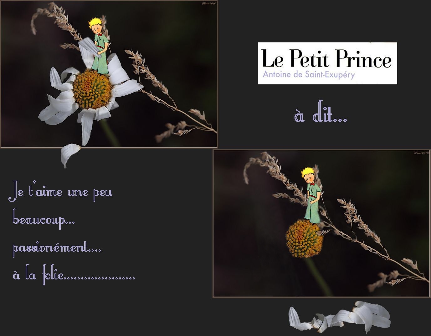 Le Petit Prince à dit !