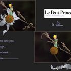 Le Petit Prince à dit !