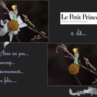 Le Petit Prince a donc dit