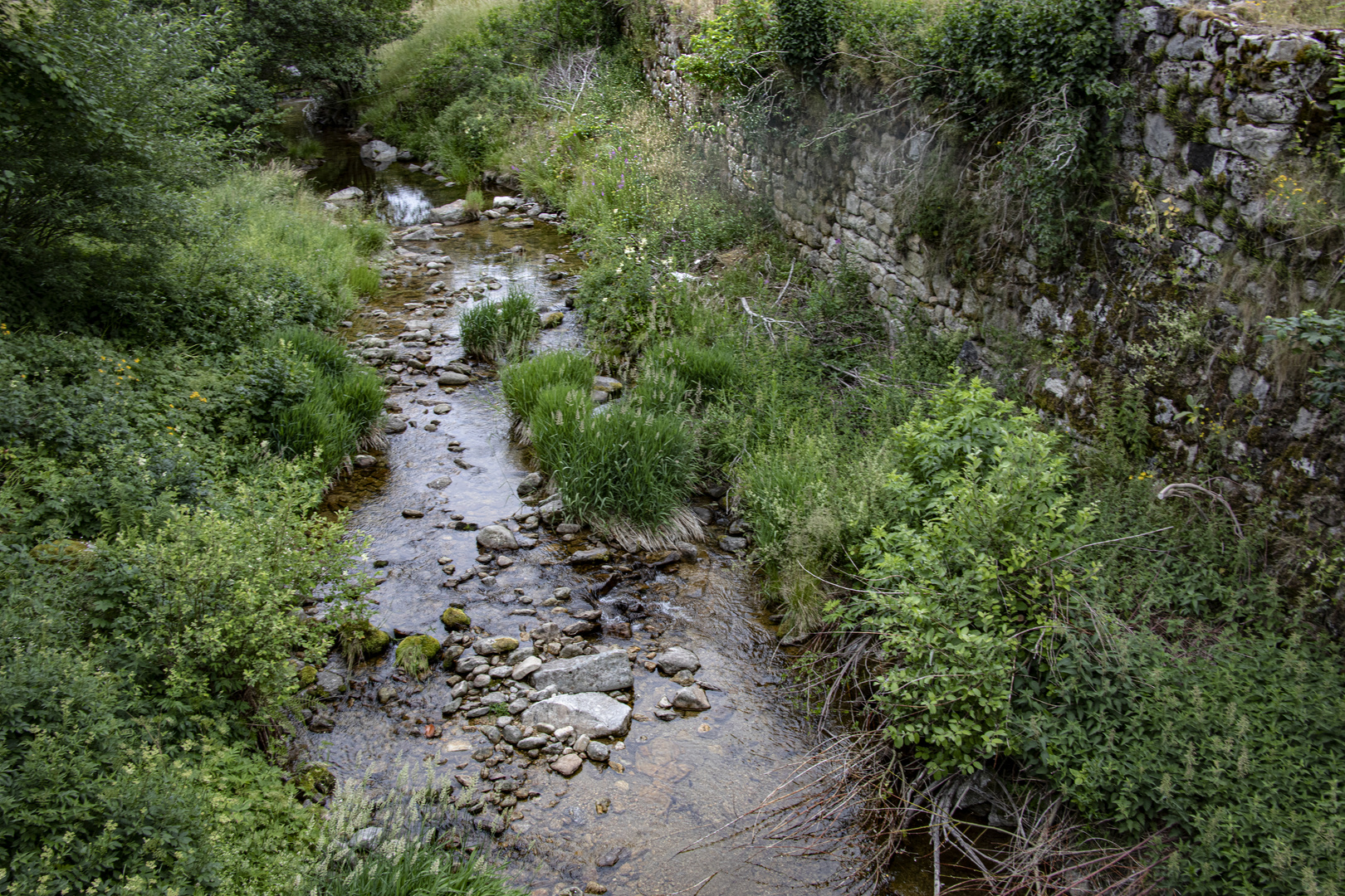 Le petit ruisseau