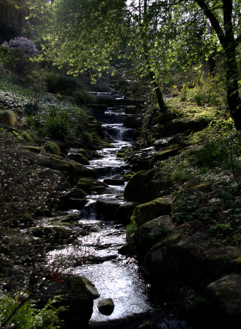 Le petit ruisseau photo et image paysages, lacs, rivières, cascades