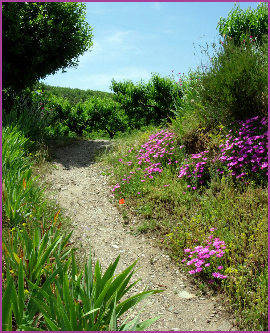 Le petit sentier qui monte....