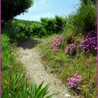 Le petit sentier qui monte....