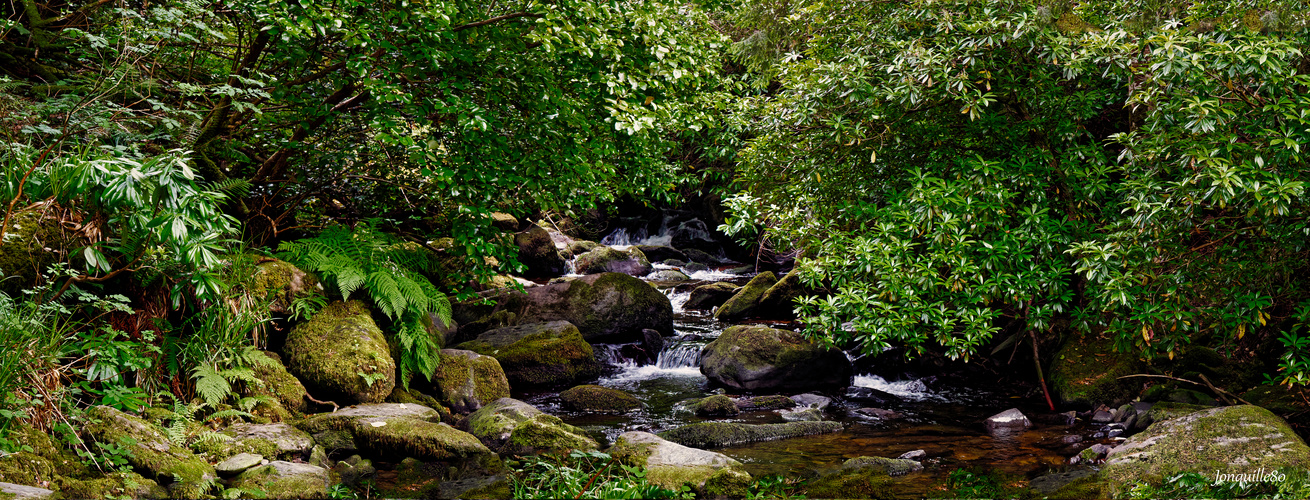 Le petit torrent