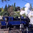 Le petit train des Cévennes ...