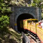 Le Petit Train Jaune "Canari" II...