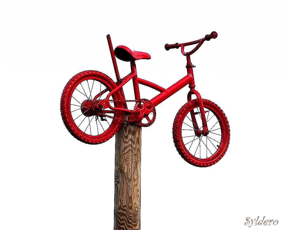 Le petit vélo rouge