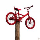 Le petit vélo rouge
